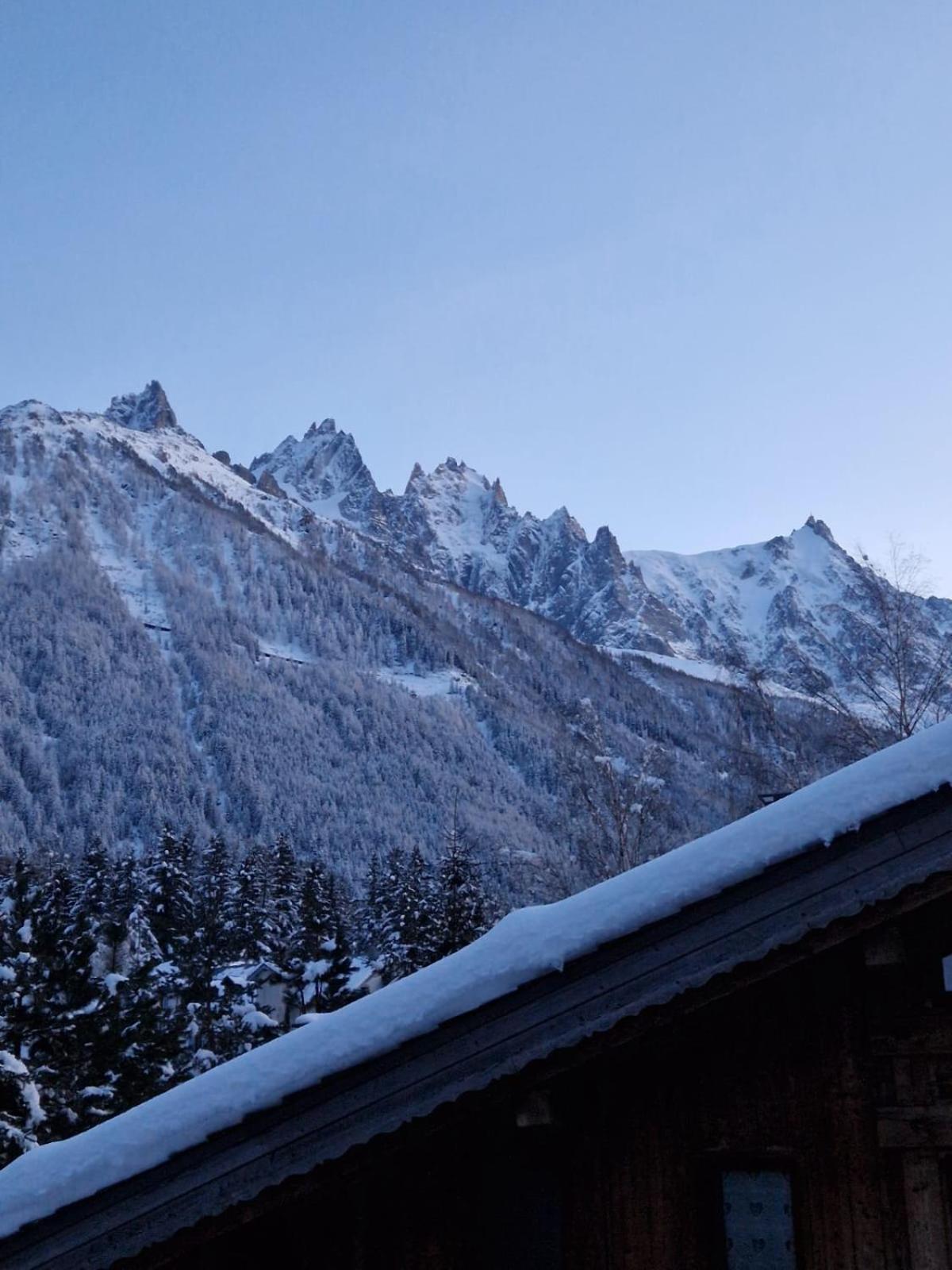 Appartement Ensoleille Aux Tines, Vue Massif Chamonix Exterior foto